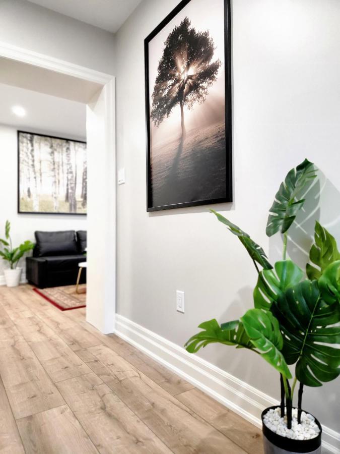 The Cozy Cove Modern King-Bedroom Full Apartment Sainte-Catherine Εξωτερικό φωτογραφία