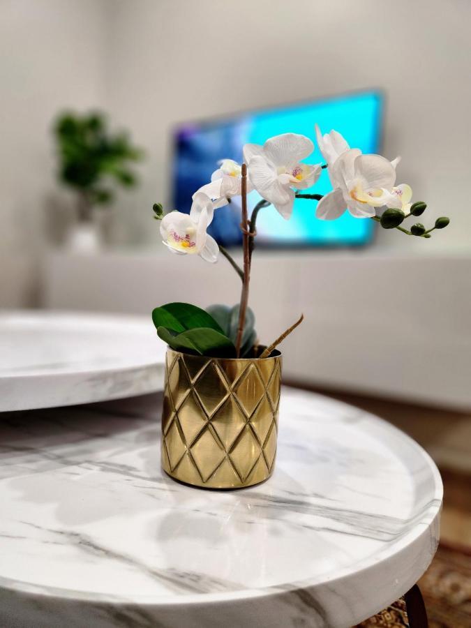 The Cozy Cove Modern King-Bedroom Full Apartment Sainte-Catherine Εξωτερικό φωτογραφία